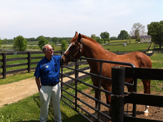Blue Grass Tours-列克星敦必去景点