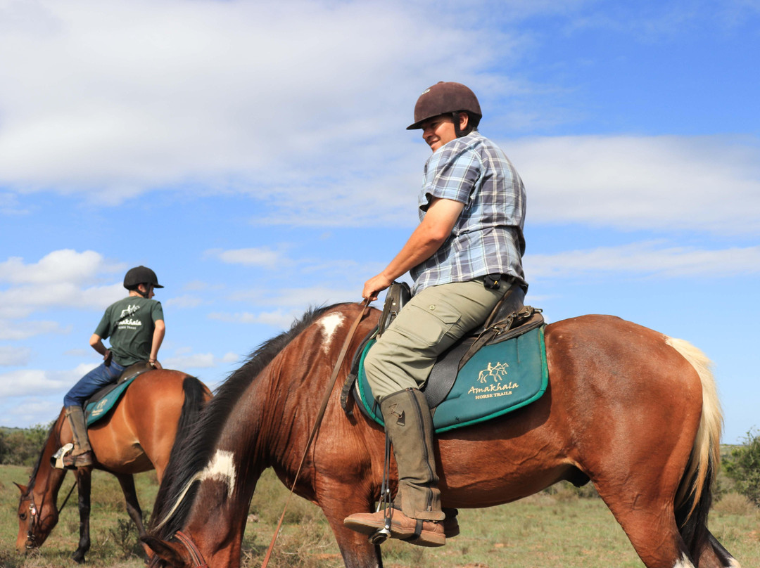 Amakhala Horse Trails-伊丽莎白港必去景点