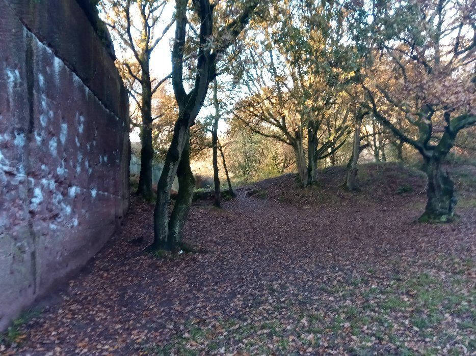 Pex Hill Nature Reserve-威德尼斯必去景点