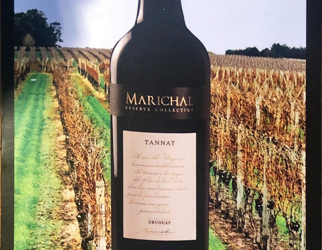 Marichal Uruguay-Canelones必去景点