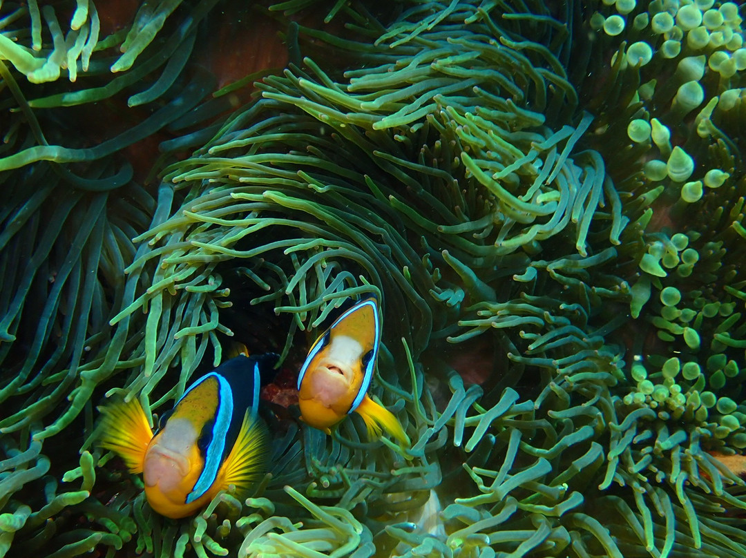 Nusa Penida Watersport-珀尼达岛必去景点