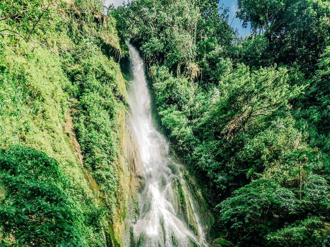 Evergreen Vanuatu-维拉港必去景点