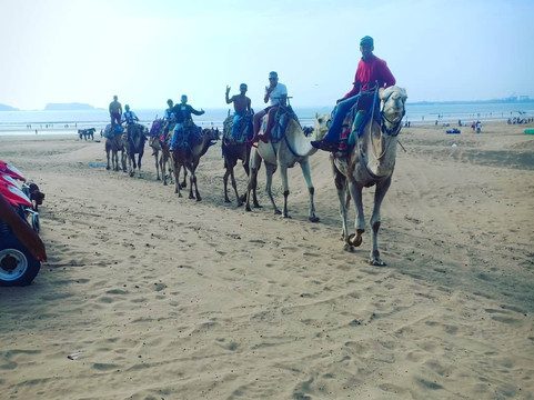 Essaouira Trip-索维拉必去景点