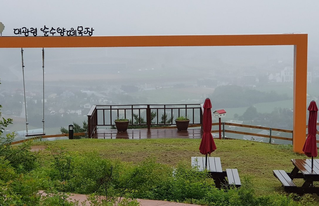 Daegwallyeong Sheep Ranch-平昌郡必去景点
