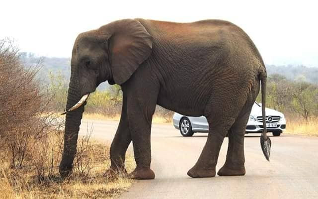 Explendor Tours-赫拉斯科普必去景点