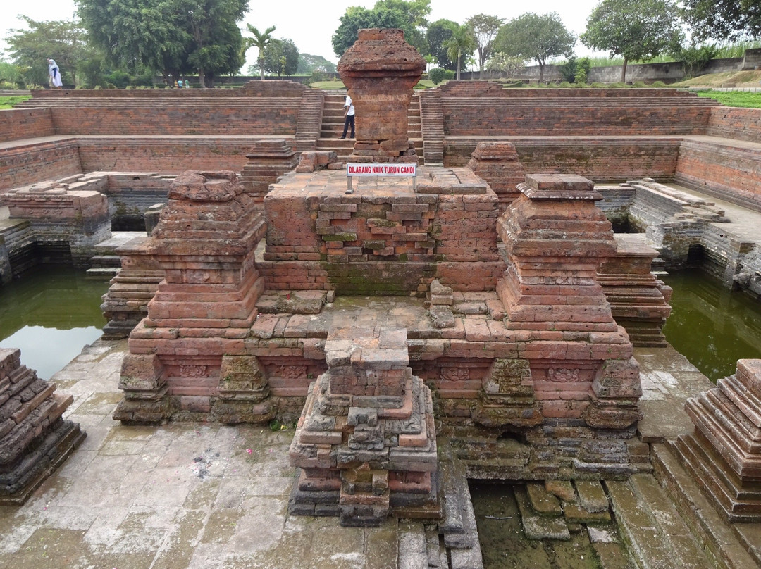 Tikus Temple景点图片