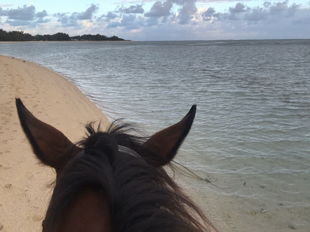 HORSE RIDING RIAMBEL- Centre Equestre De Riambel景点图片