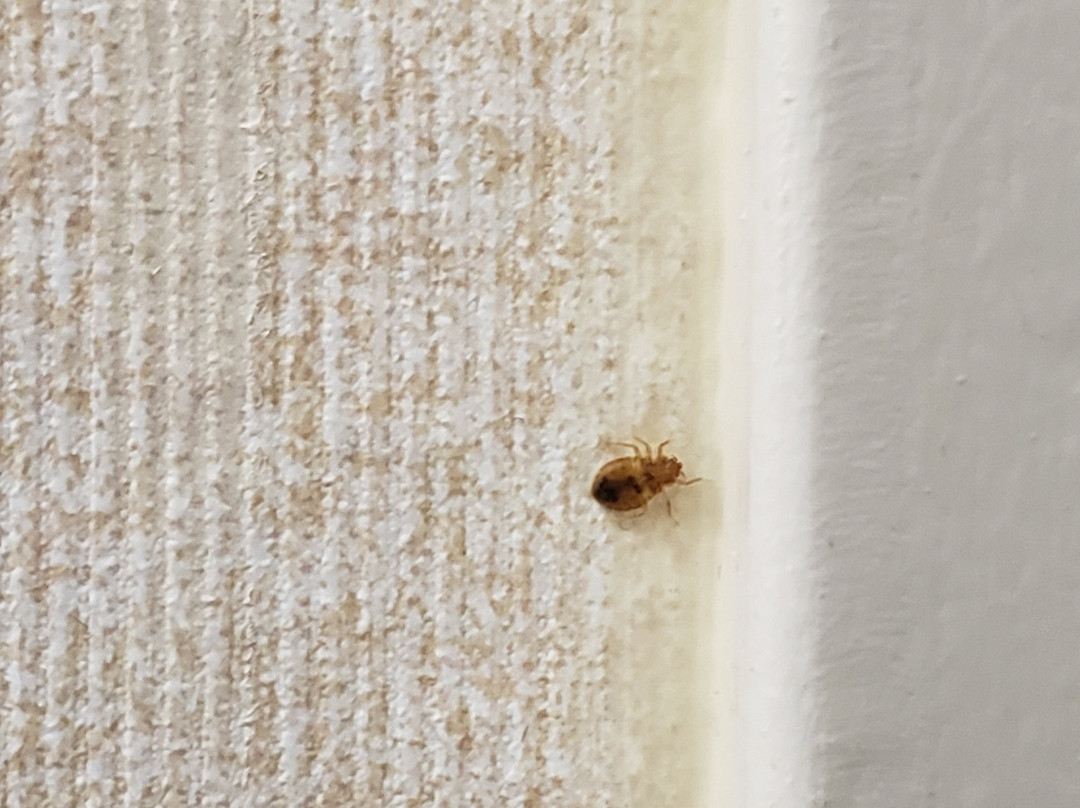 Quality Inn & Suites Bremerton Near Naval Shipyard主图