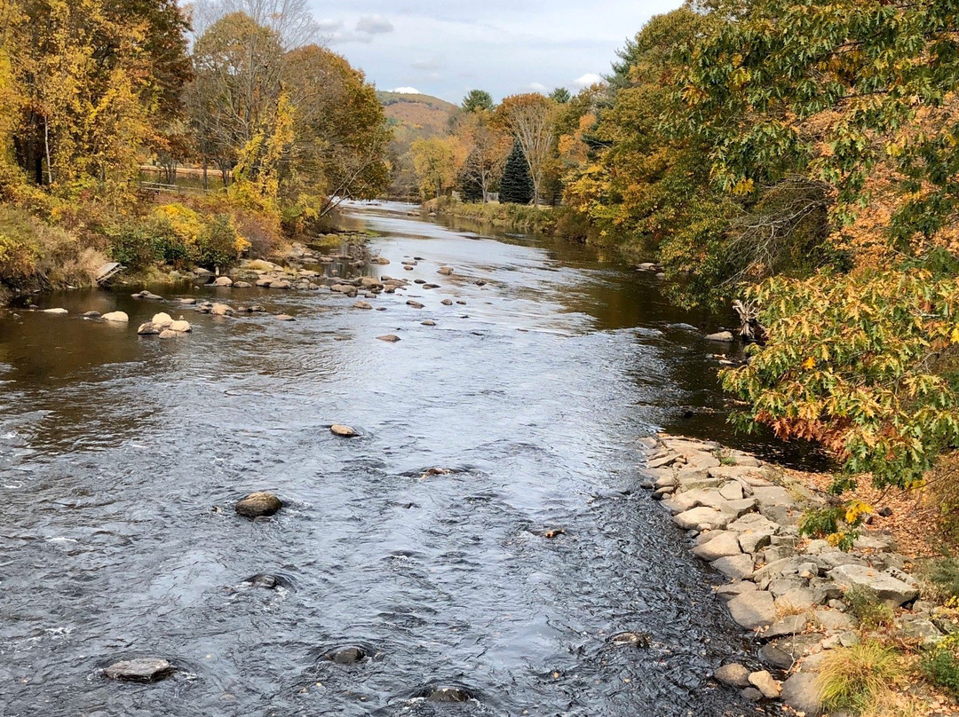 惠特科姆豪斯布里奇住宿加早餐酒店主图