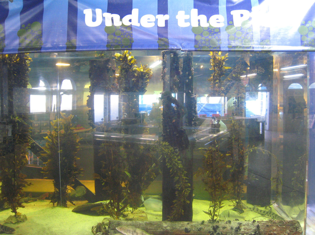 Heal the Bay Aquarium景点图片