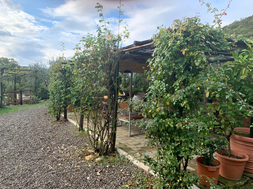 La Grencaia Bed & Breakfast主图