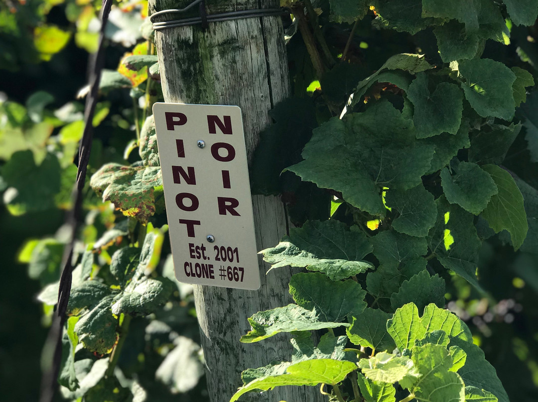 Karma Vista Vineyards-Coloma必去景点