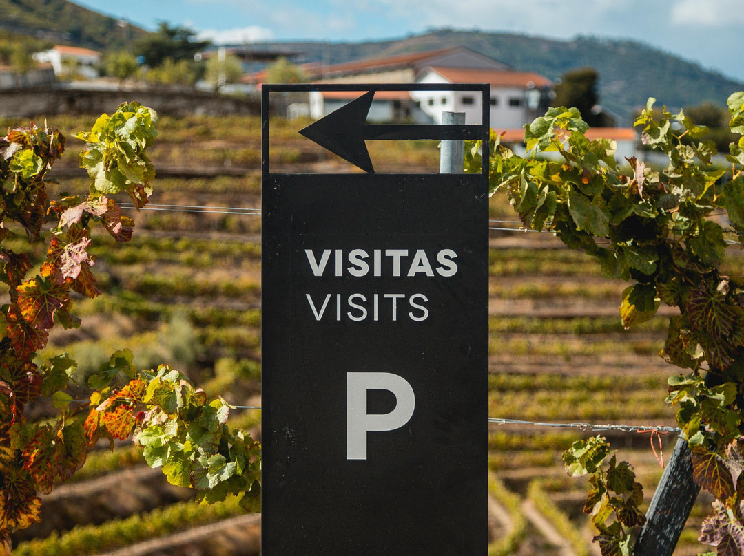 Quinta de S. Luíz-Tabuaco必去景点