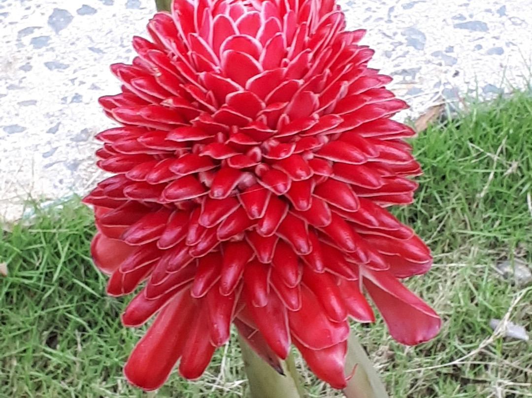 Principe Residencial主图