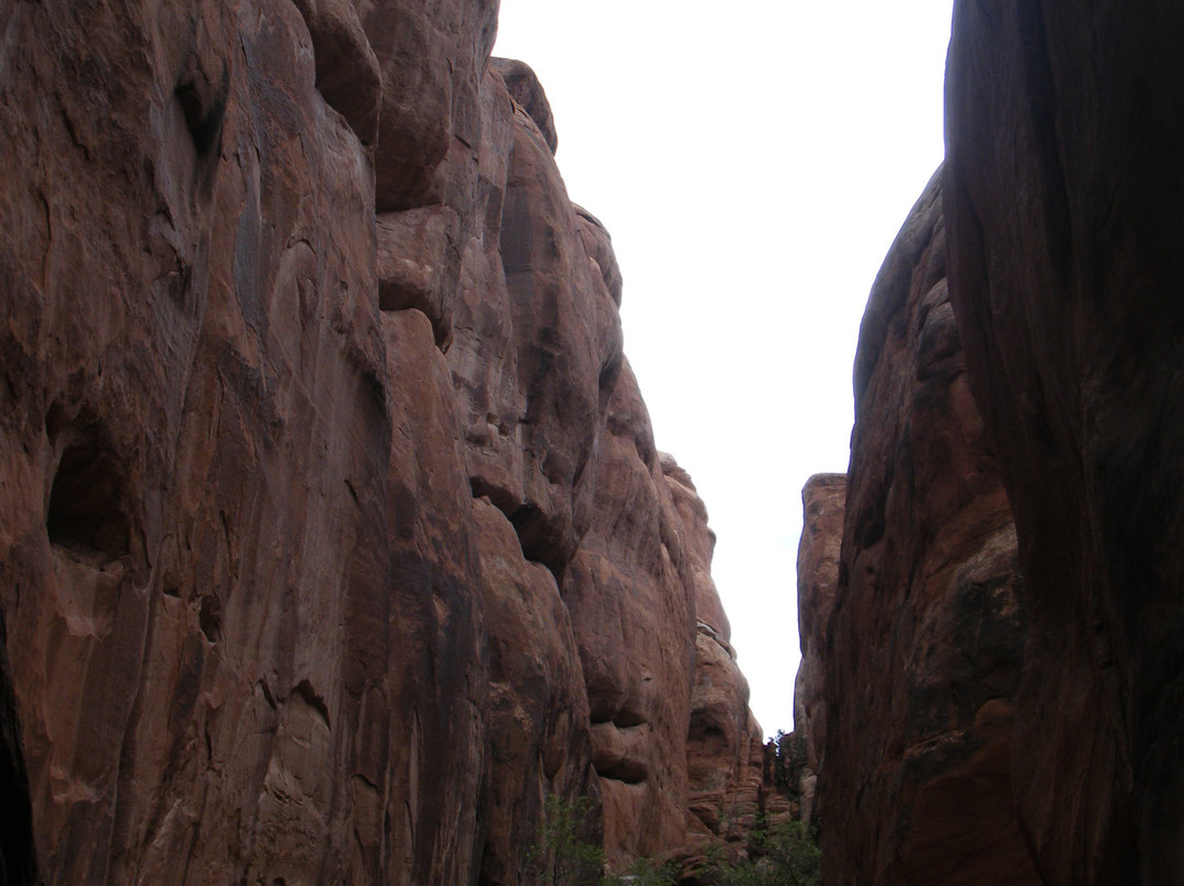拱门国家公园-莫阿布必去景点