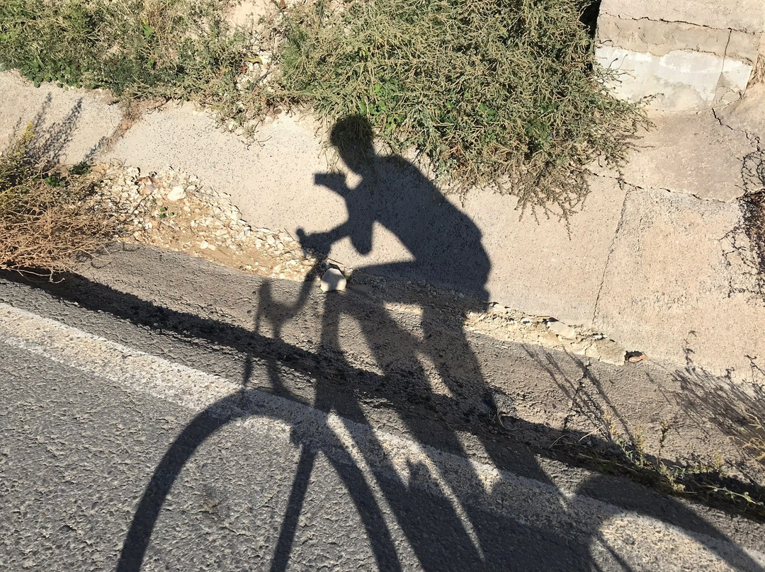 Bikekick景点图片