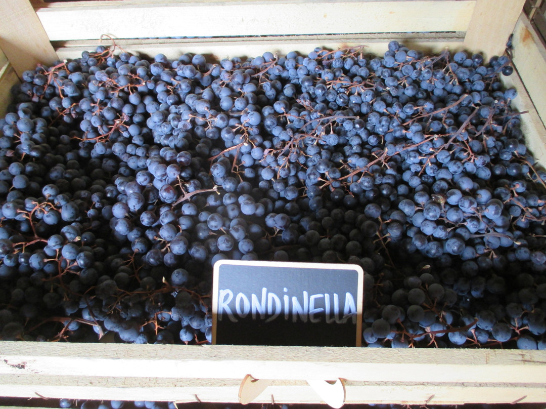 Vini Gamba-Valgatara必去景点