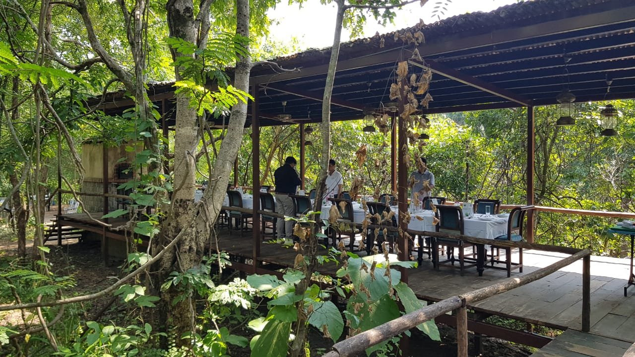 Baghvan, A Taj Safari - Pench National Park-餐饮