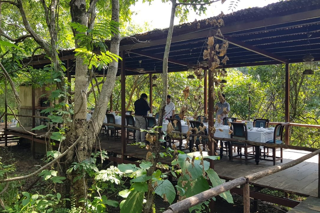 Baghvan, A Taj Safari - Pench National Park主图