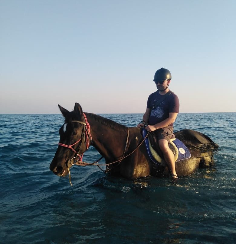 Rocking Horse Ranch景点图片