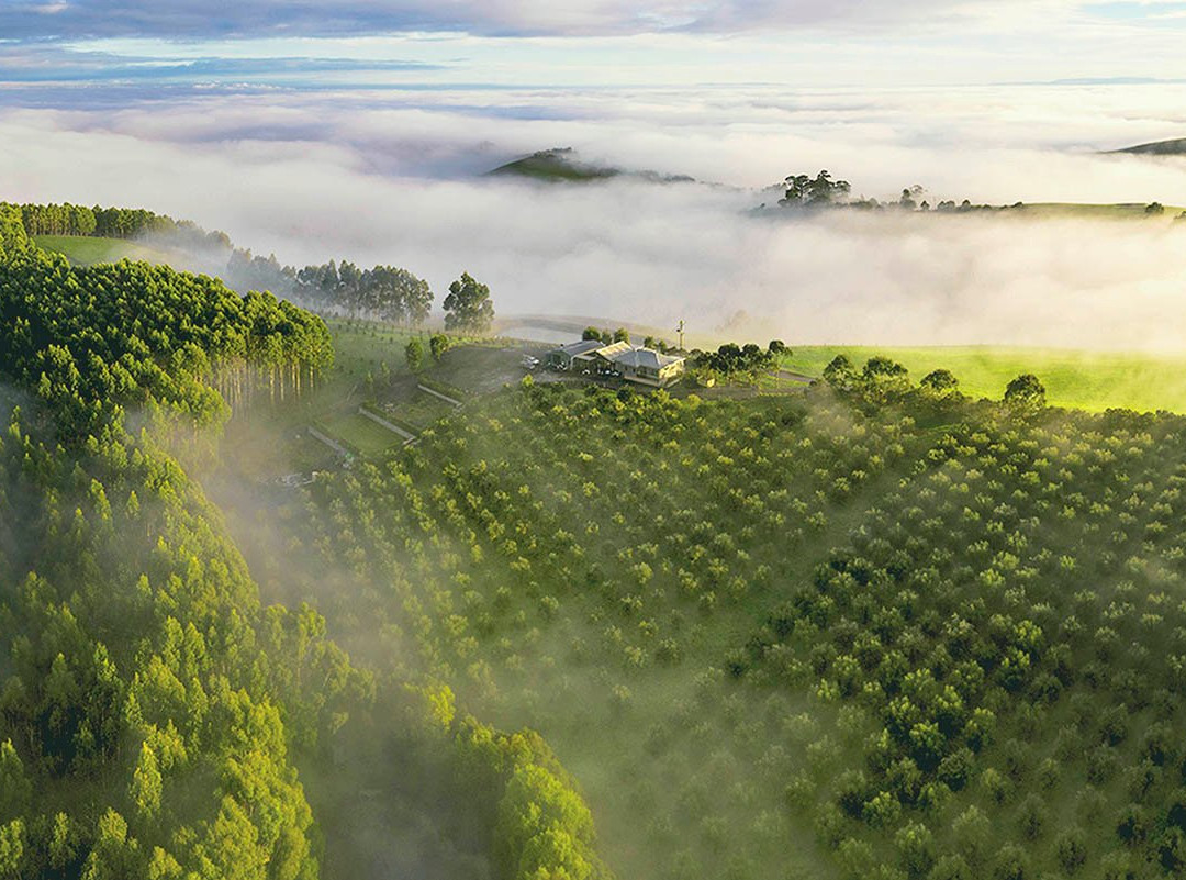 The Gurdies餐馆和美食-The Grove Gippsland
