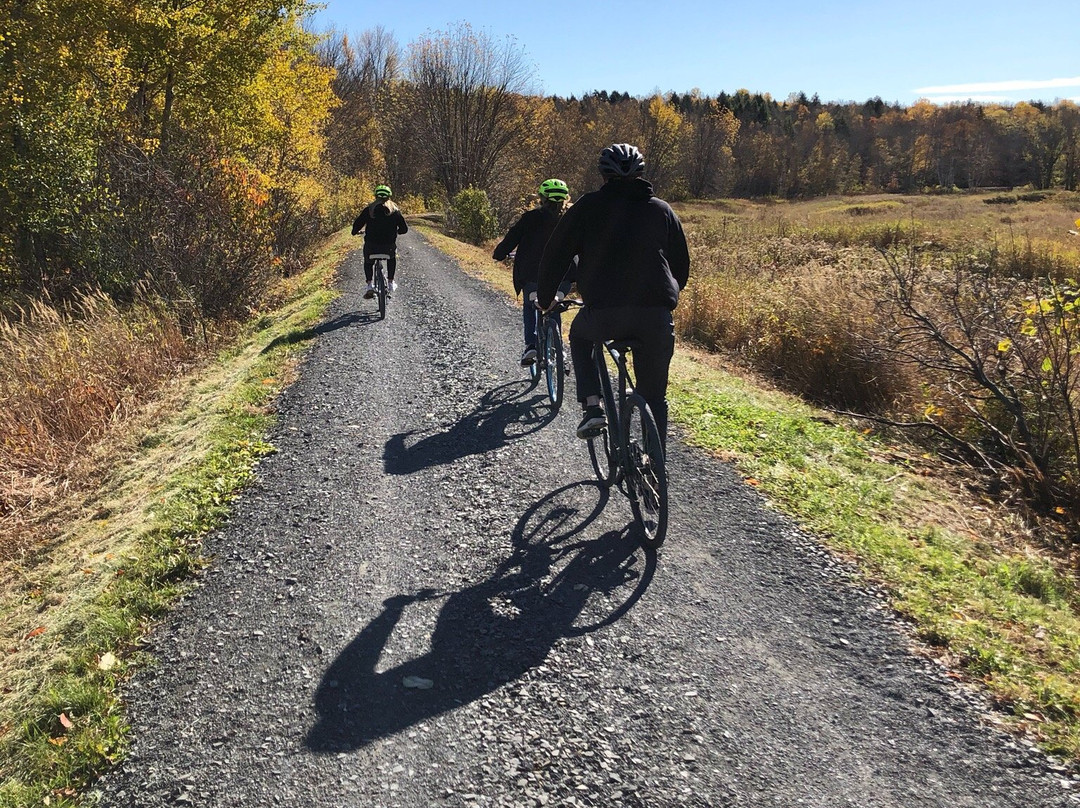 Fredericton Trails Coalition Inc.景点图片