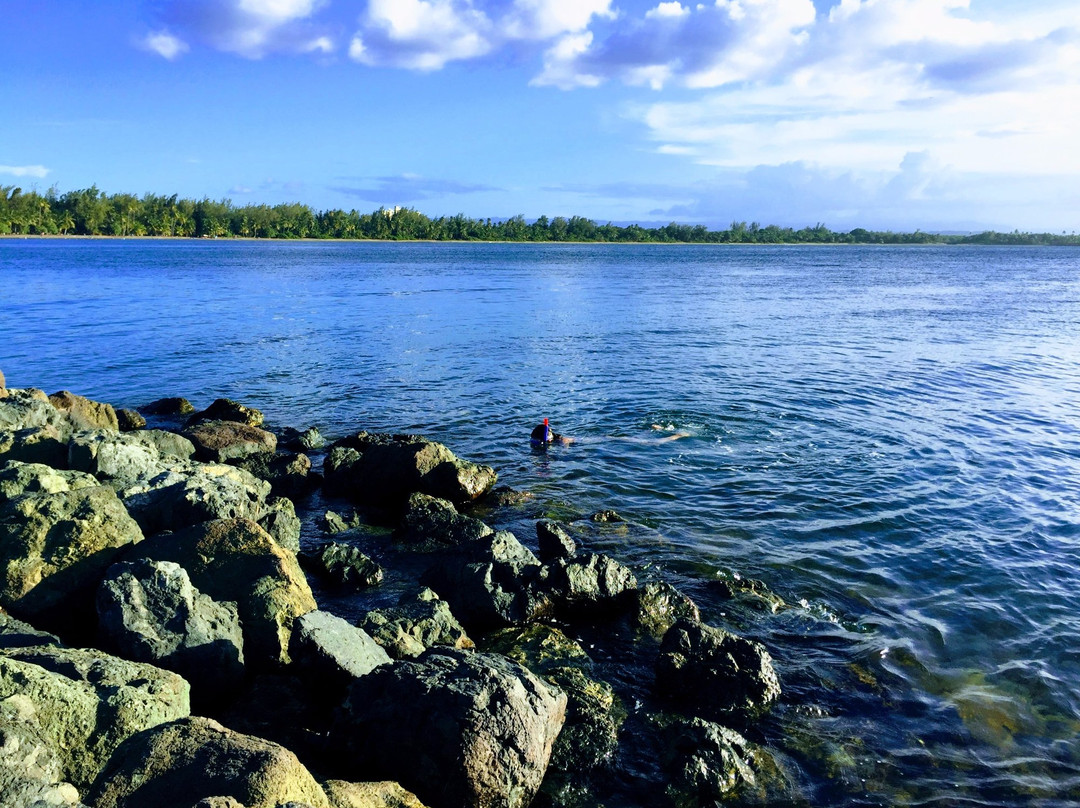 Balneario Punta Salinas-Toa Baja必去景点