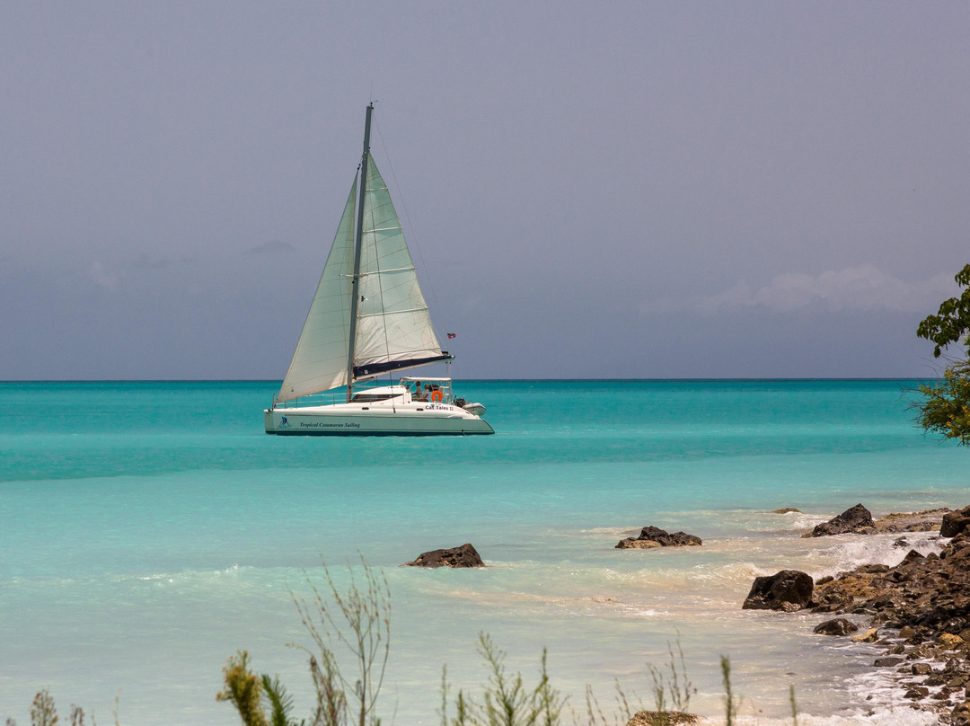 Tropical Catamaran Sailing Day Tours景点图片