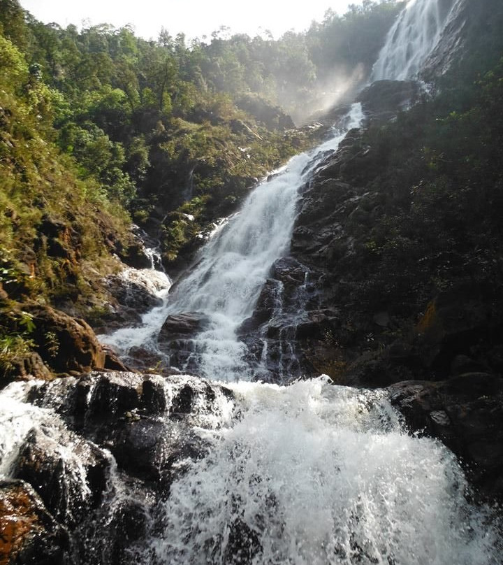 Guayabo Falls景点图片
