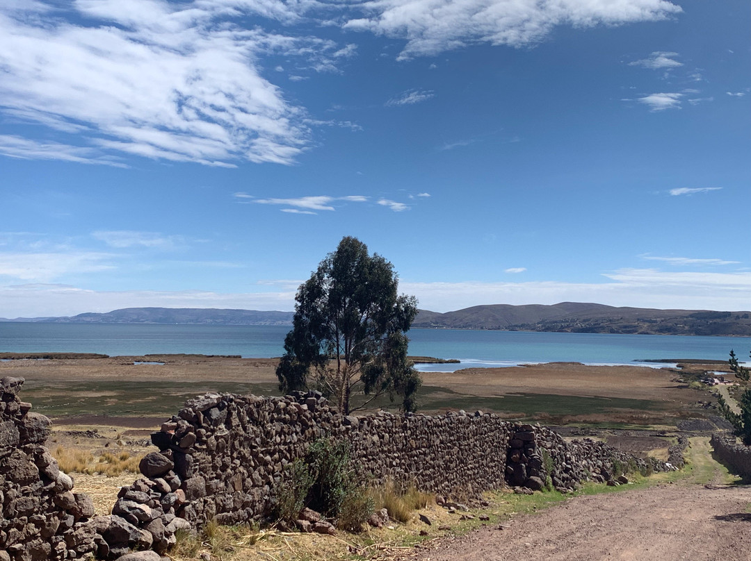 Taypikala Hotel Lago主图