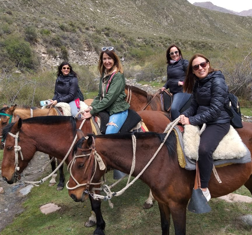 Visit Valle De Uco景点图片