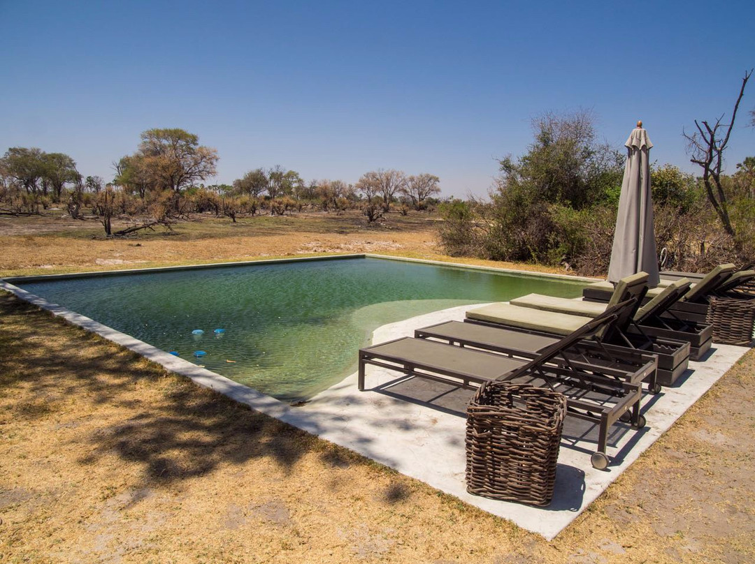 Gomoti Plains Camp - Machaba Safaris主图