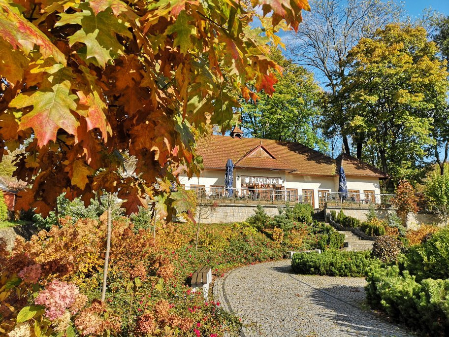 Park Zdrojowy