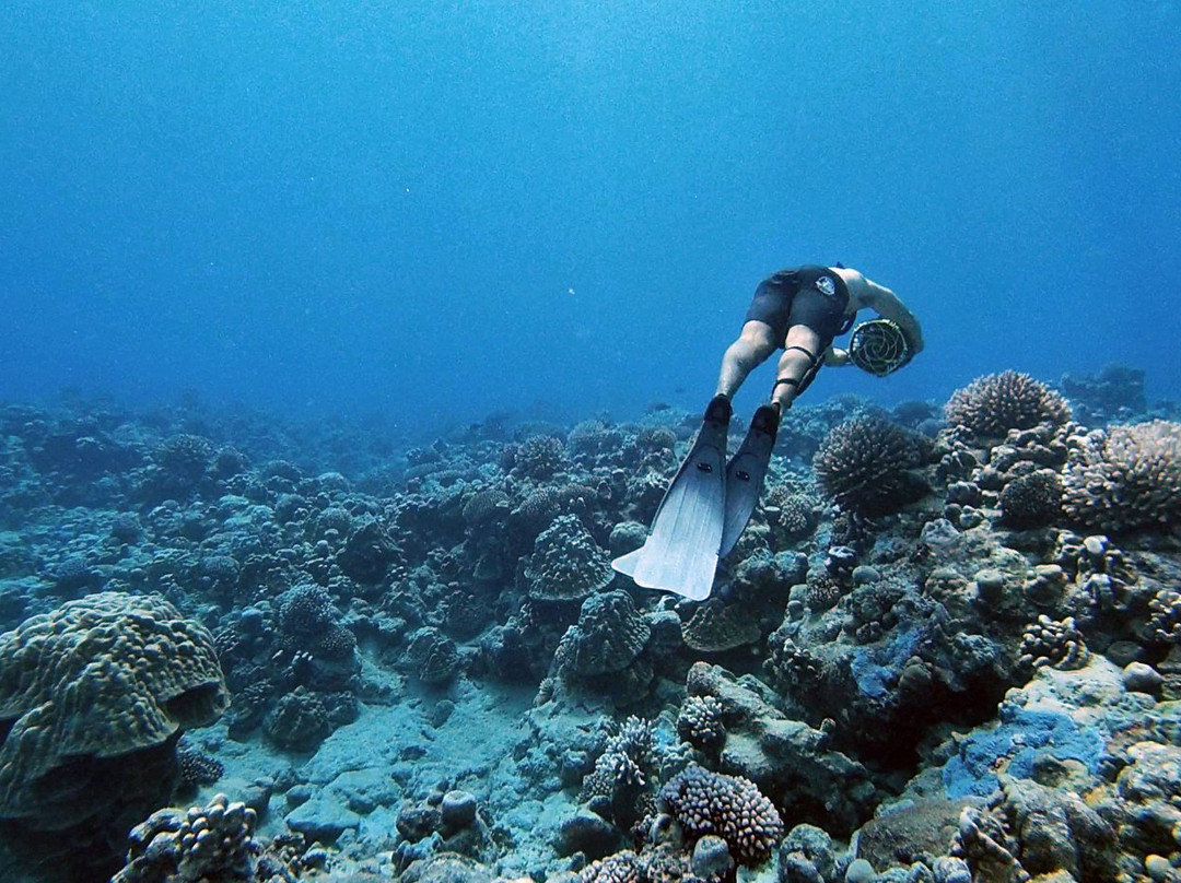 Ariki Adventures-拉罗汤加必去景点