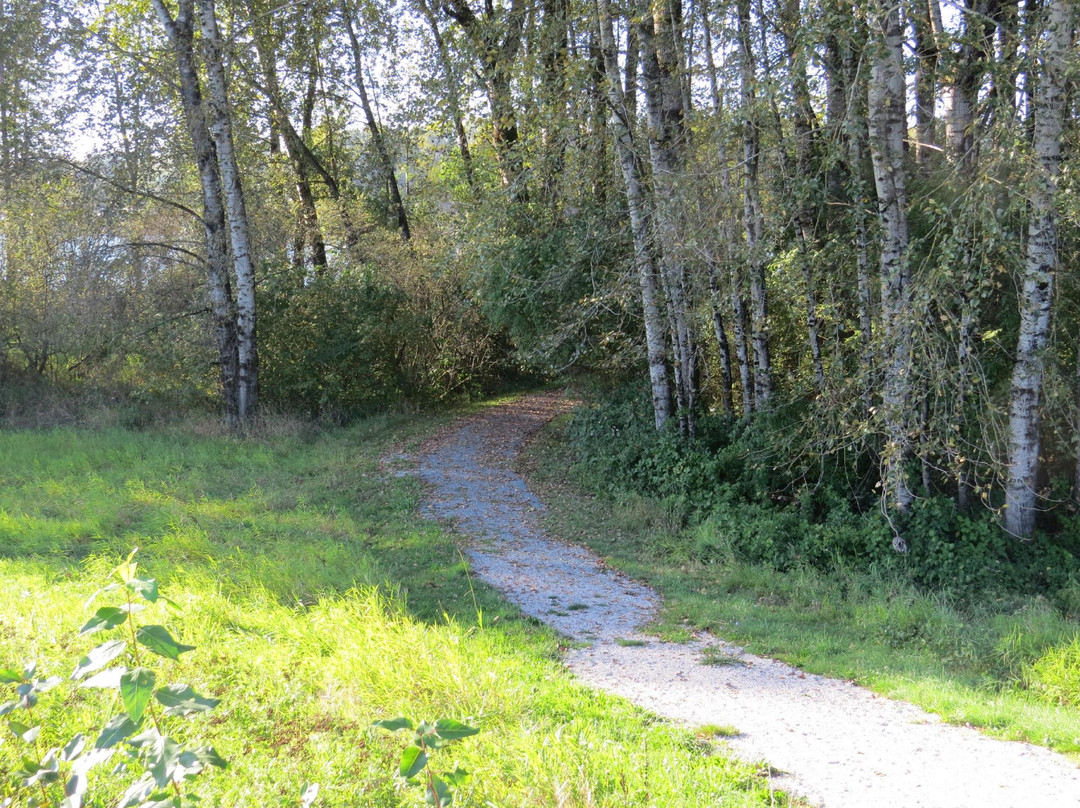 Matsqui Trail Regional Park景点图片