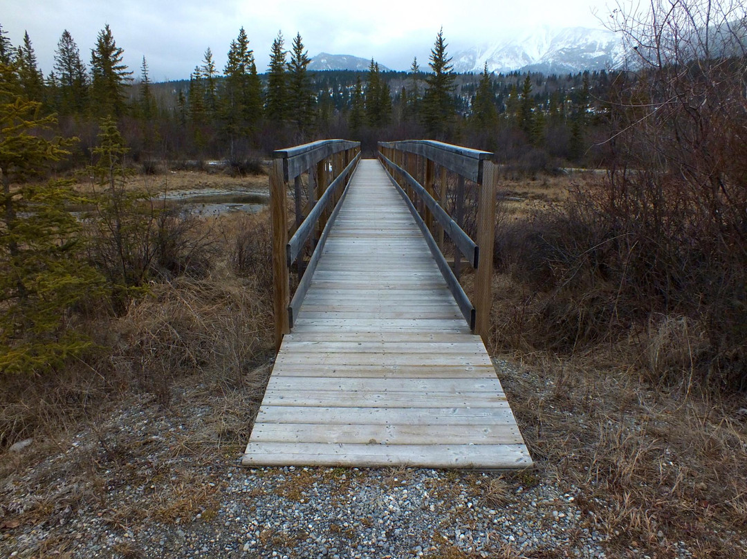 Source of the Columbia Trail景点图片