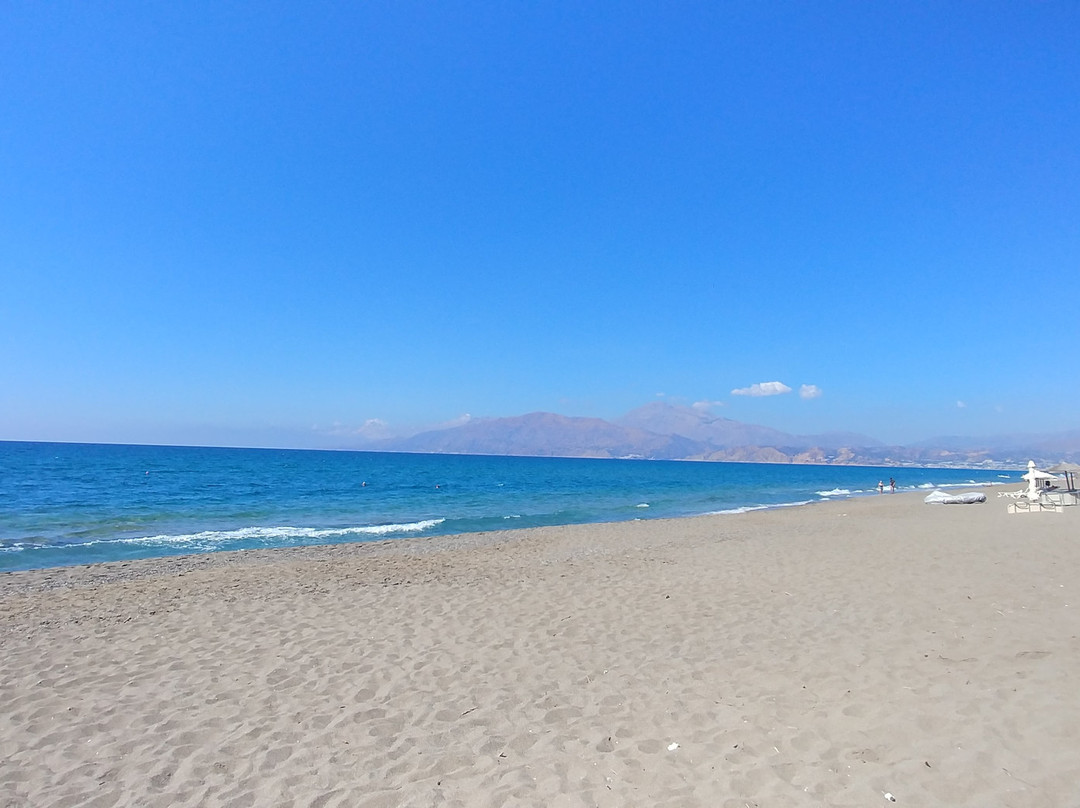 Alexander Beach Hotel主图