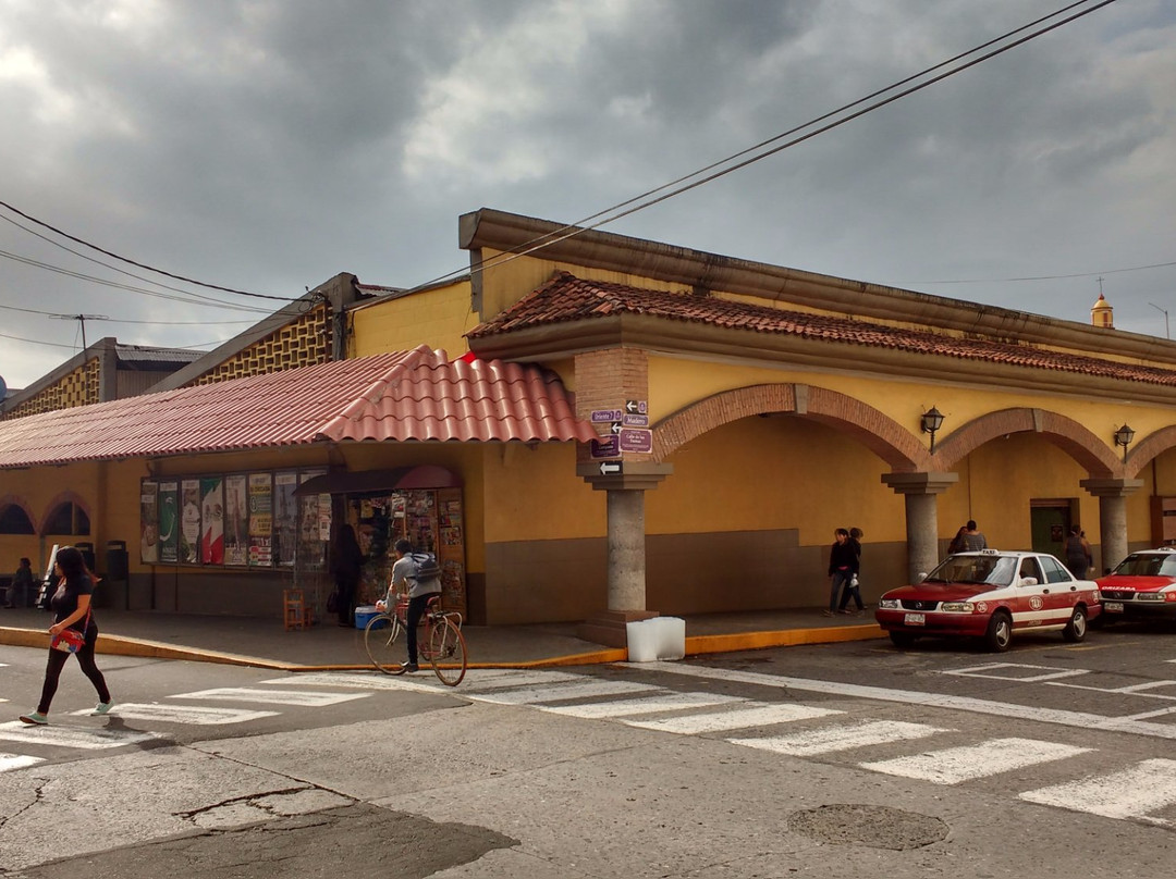 Camerino Z. Mendoza Municipality旅游攻略图片