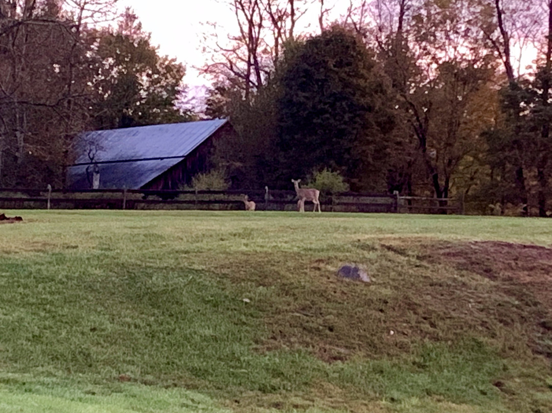 Inn at Tyler Hill主图