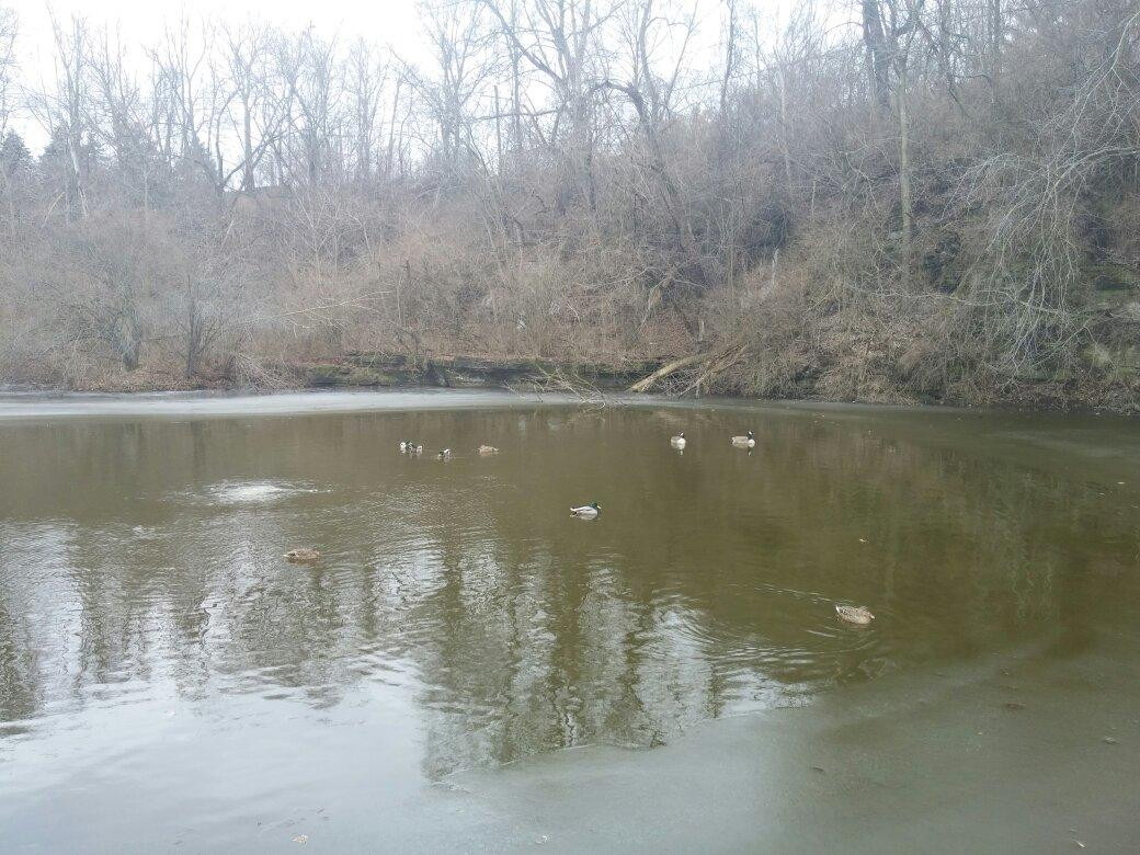 Delaware旅游景点-Blue Limestone Park