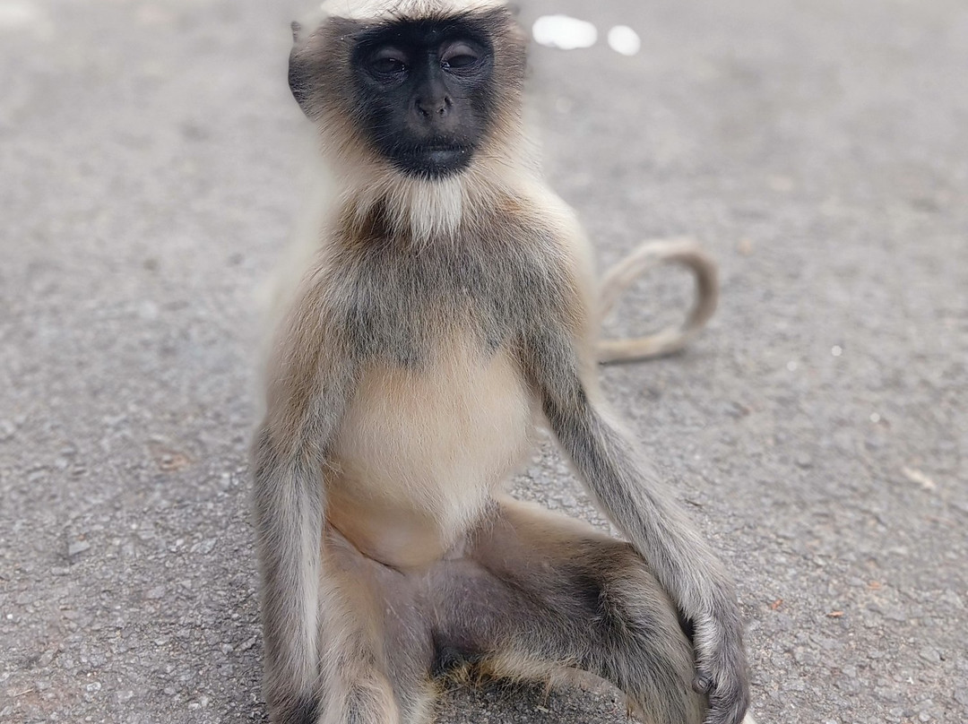 Hampi-Bellary必去景点