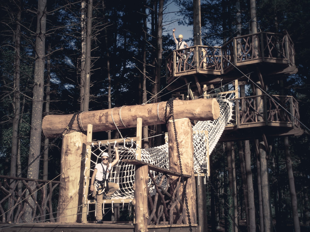 The Beanstalk Journey Zipline-Morganton必去景点