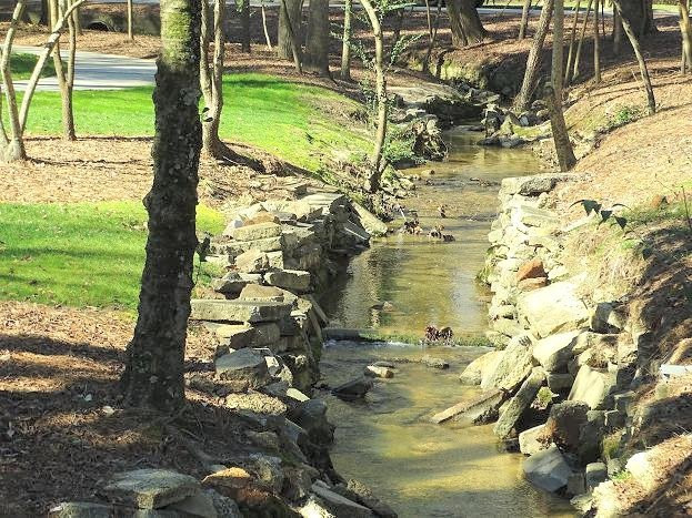 Fuquay Mineral Spring Park景点图片