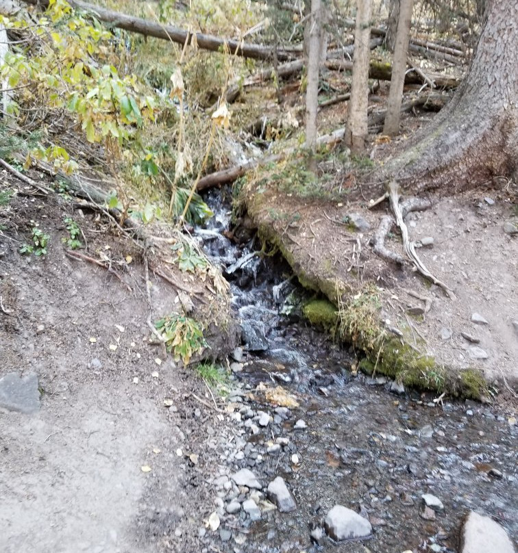 Jud Wiebe Trail-特柳赖德必去景点