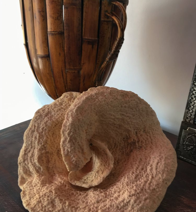 Villas Jurerê Hotel Boutique主图