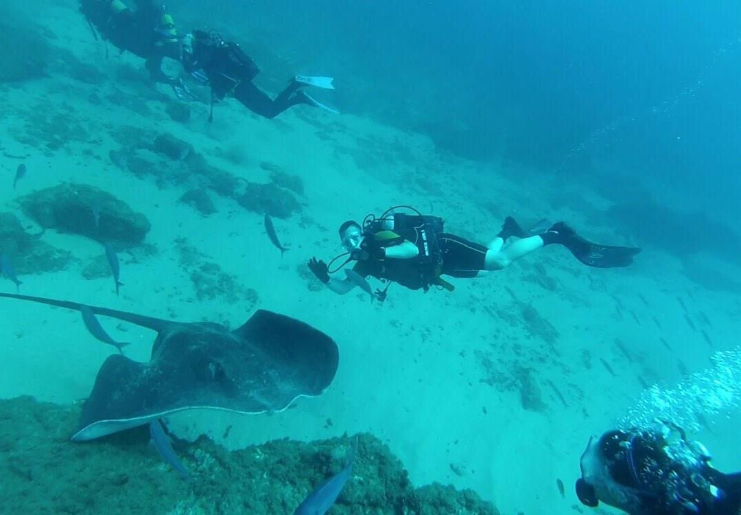 Buceo Tenerife-拉斯加勒塔斯必去景点