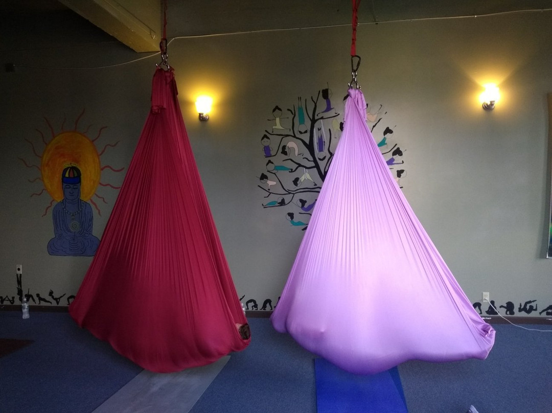 Fit To Be Tied Yoga景点图片