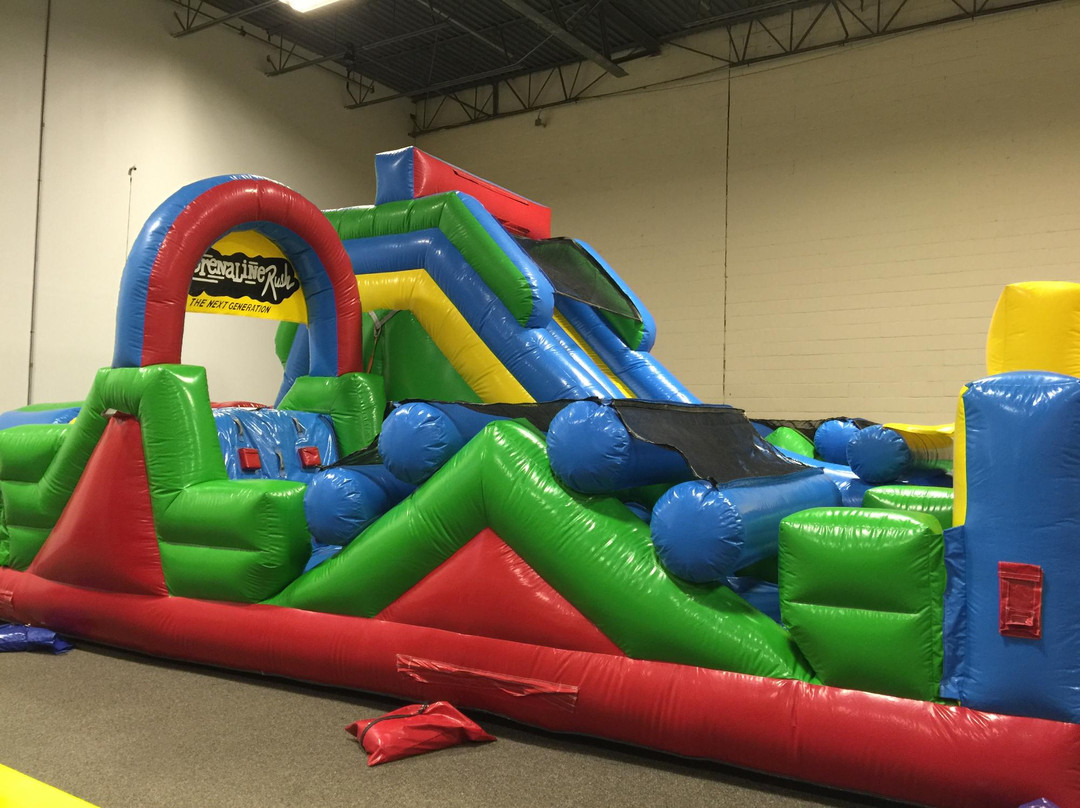 The Jumping Jungle