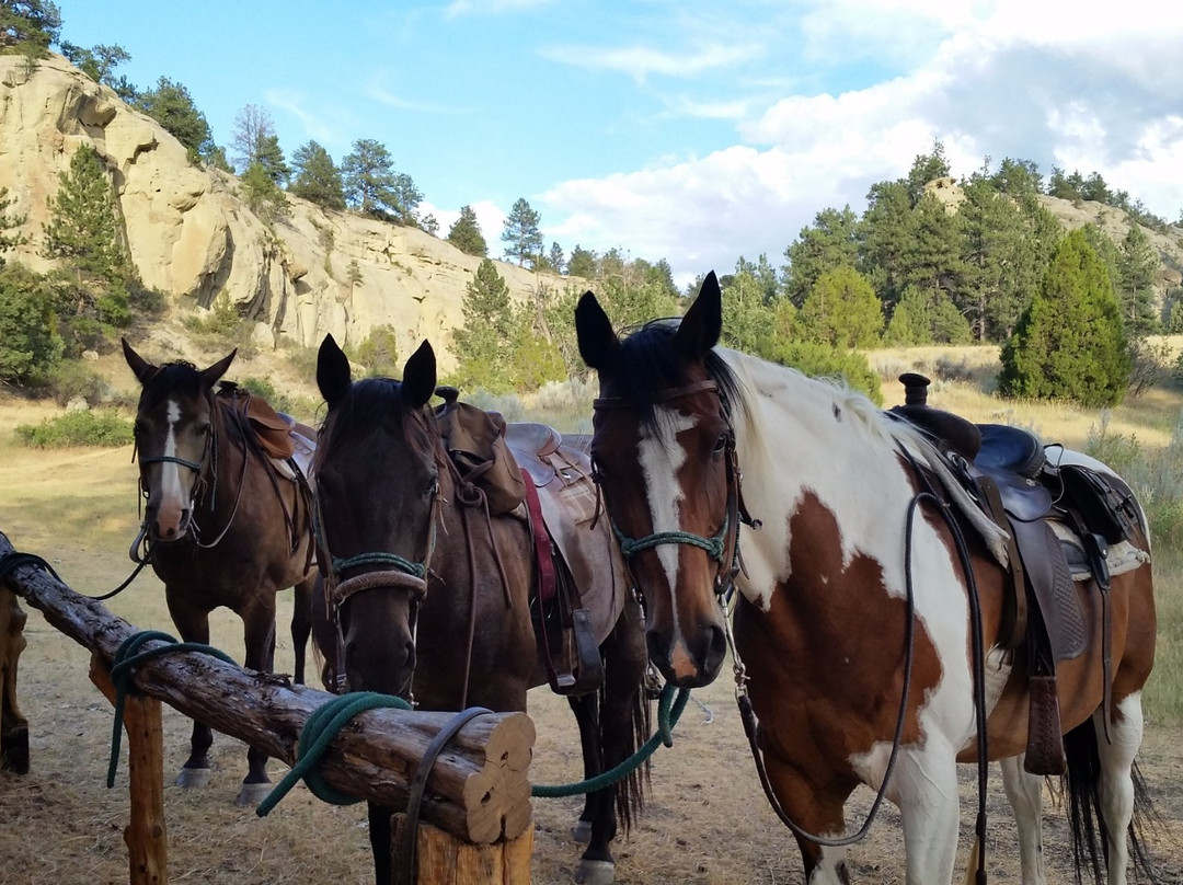 Bitter Creek Outfitters-比灵斯必去景点