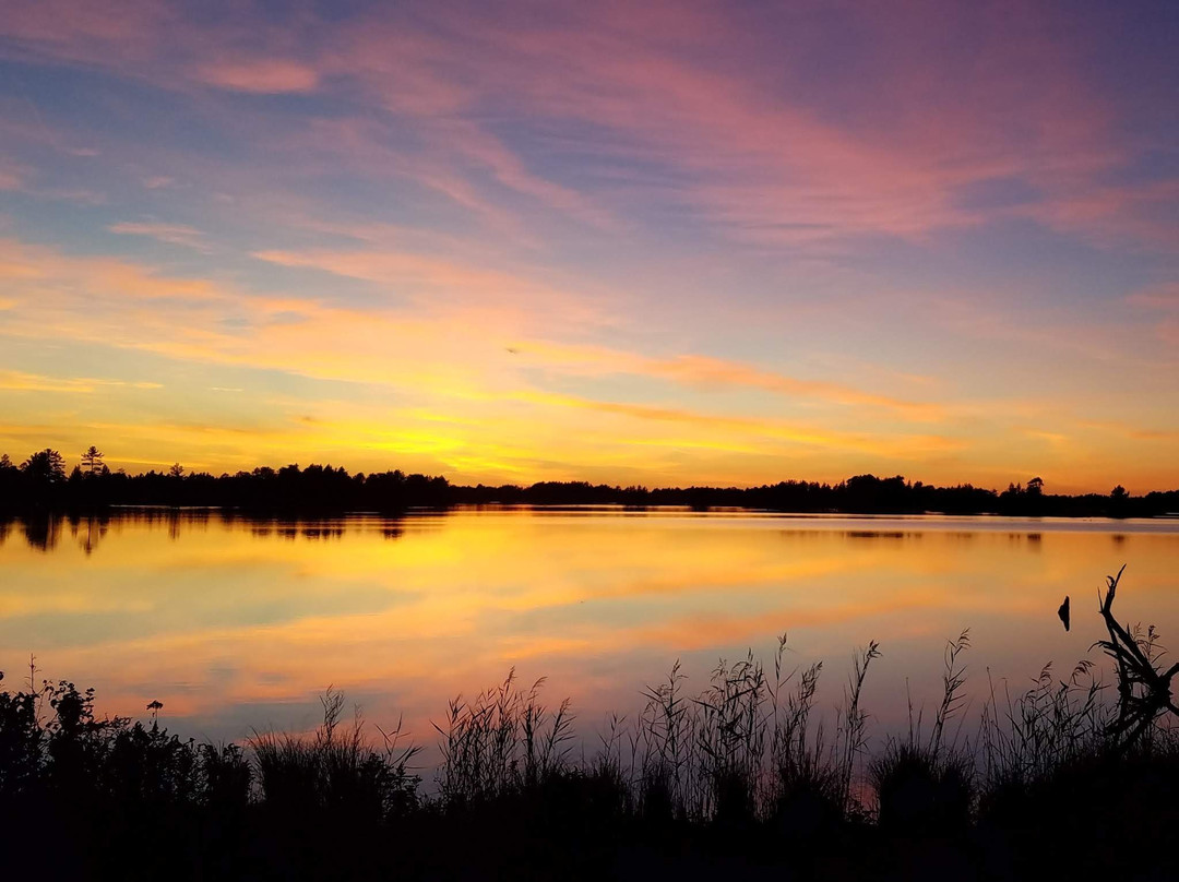 Seney National Wildlife Refuge景点图片